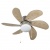 DC30T Ceiling fan with lamp